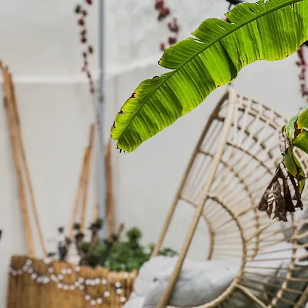 Anesis With A Yard * Kalamata