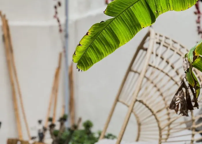 Anesis With A Yard * Kalamata